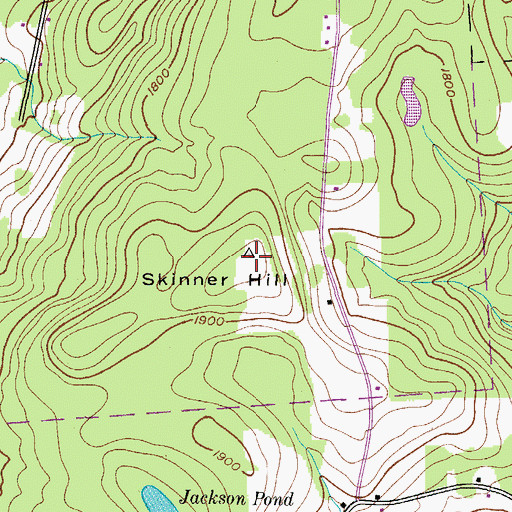 Topographic Map of Skinner Hill, NY