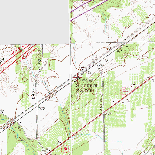 Topographic Map of Skinners Switch, NY
