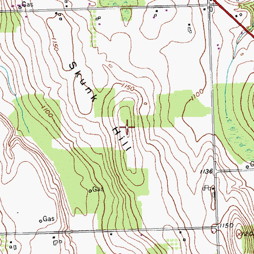 Topographic Map of Skunk Hill, NY