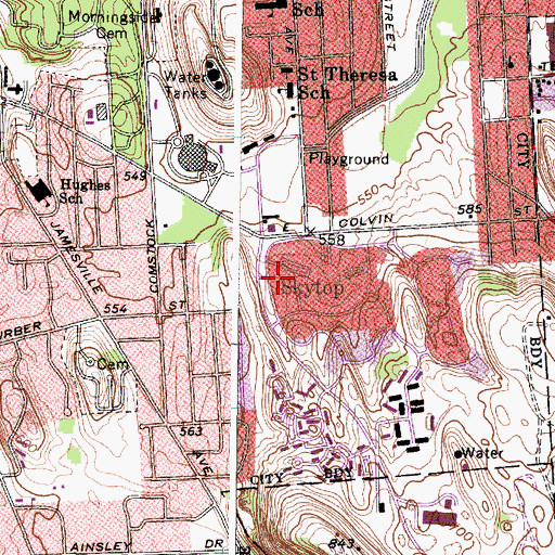 Topographic Map of Skytop, NY