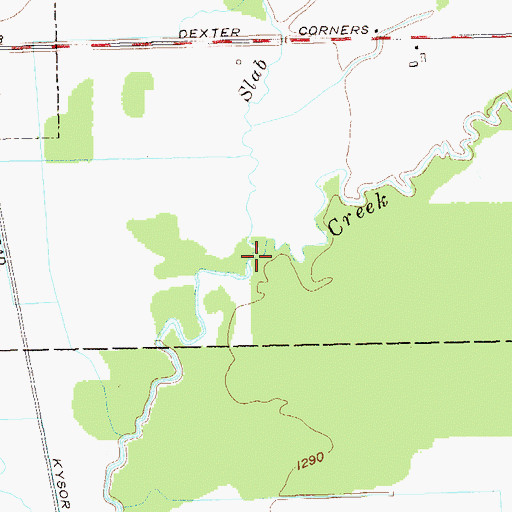 Topographic Map of Slab City Creek, NY
