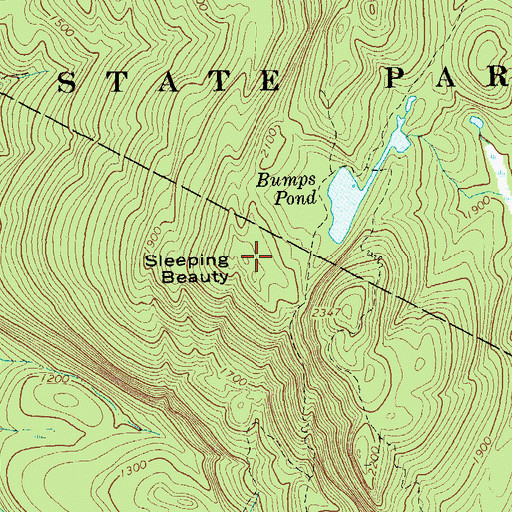 Topographic Map of Sleeping Beauty, NY