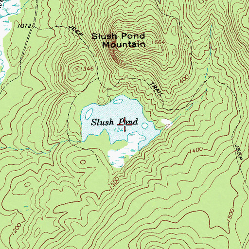 Topographic Map of Slush Pond, NY