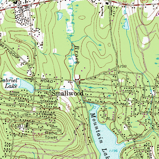 Topographic Map of Smallwood, NY