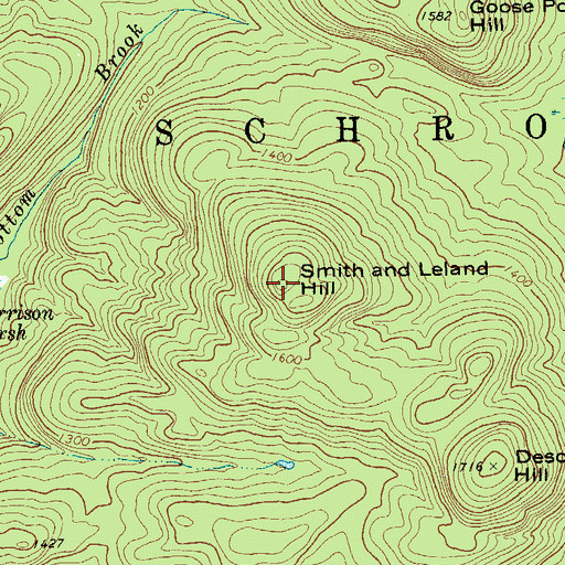 Topographic Map of Smith and Leland Hill, NY