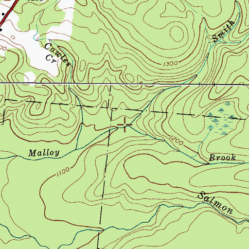 Topographic Map of Smith Brook, NY