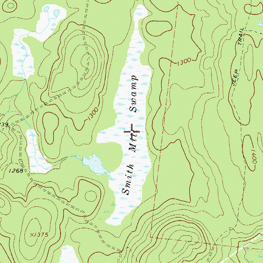 Topographic Map of Smith Mill Swamp, NY