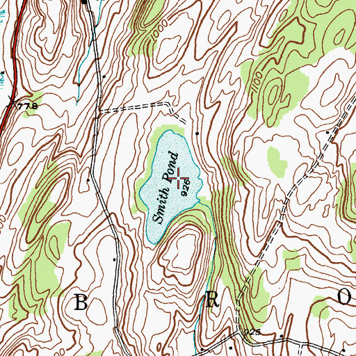 Topographic Map of Smith Pond, NY