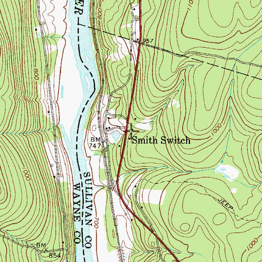 Topographic Map of Smith Switch, NY