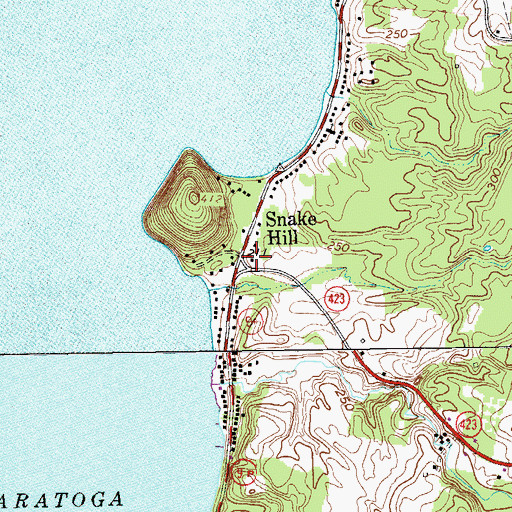 Topographic Map of Snake Hill, NY