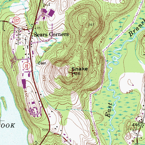 Topographic Map of Snake Hill, NY