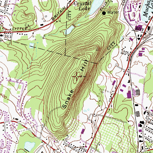 Topographic Map of Snake Hill, NY