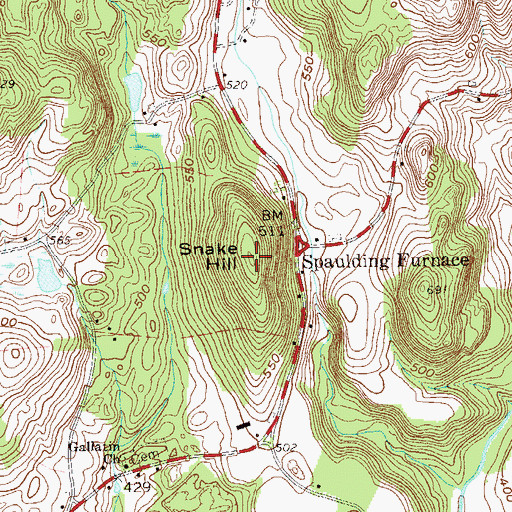 Topographic Map of Snake Hill, NY