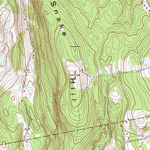 Topographic Map of Snake Hill, NY