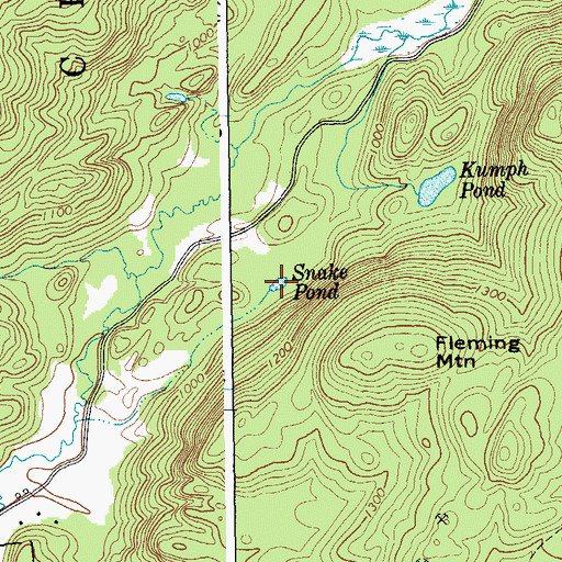 Topographic Map of Snake Pond, NY