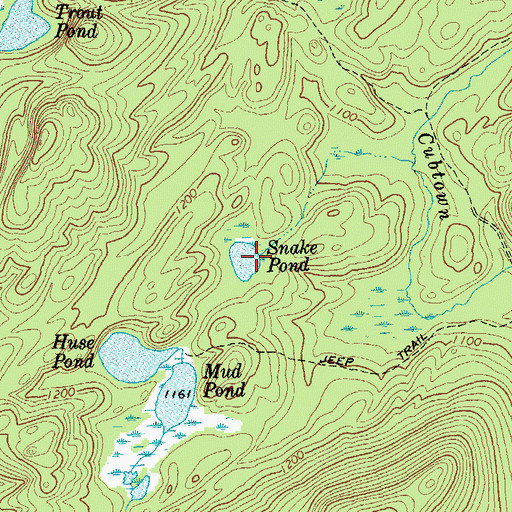 Topographic Map of Snake Pond, NY