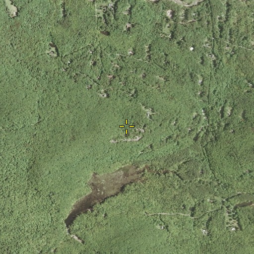Aerial/Satellite Image of Snake Rocks, NY