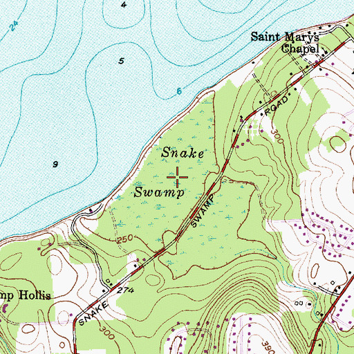 Topographic Map of Snake Swamp, NY