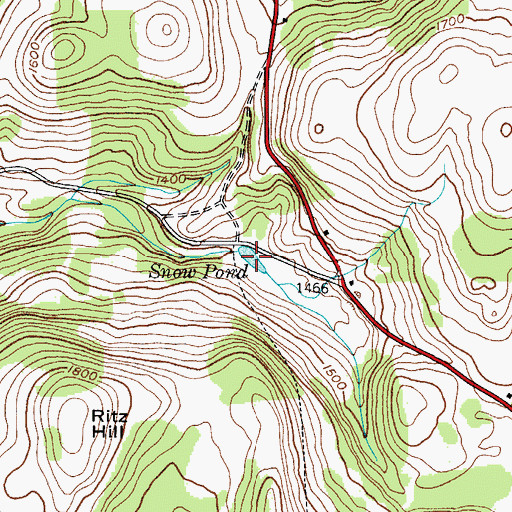 Topographic Map of Snow Pond, NY