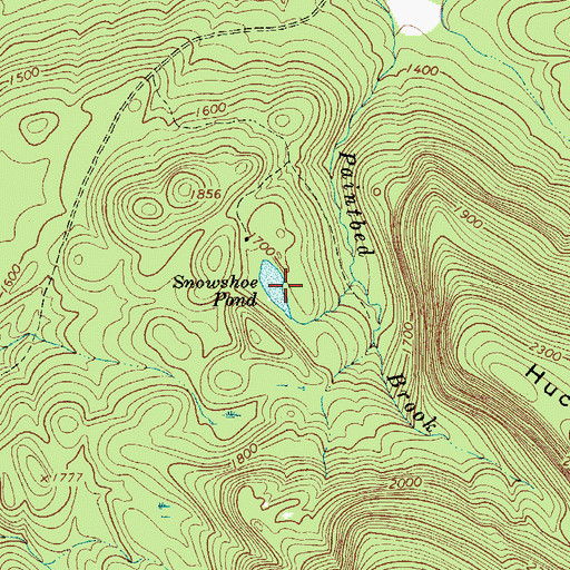 Topographic Map of Snowshoe Pond, NY