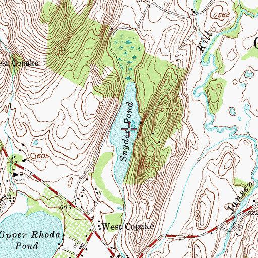 Topographic Map of Snyder Pond, NY