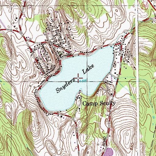 Topographic Map of Snyders Lake, NY