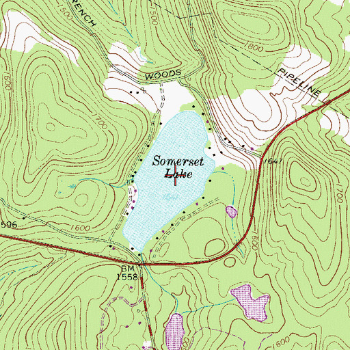 Topographic Map of Somerset Lake, NY
