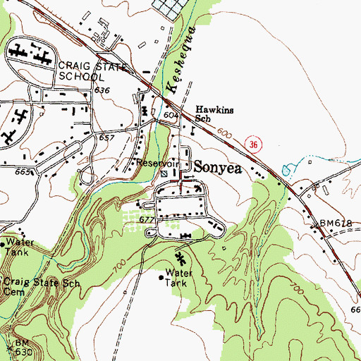 Topographic Map of Sonyea, NY