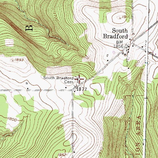 Topographic Map of South Bradford Cemetery, NY