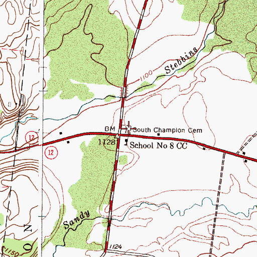 Topographic Map of South Champion Cemetery, NY