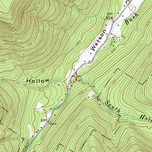 Topographic Map of South Hollow Brook, NY