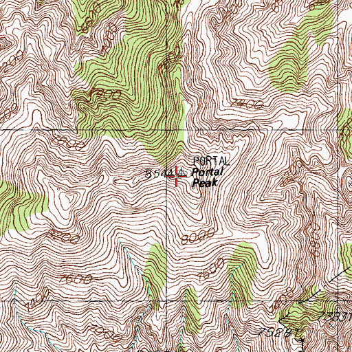 Topographic Map of Portal Peak, AZ