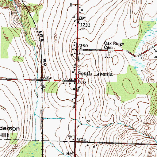 Topographic Map of South Livonia, NY