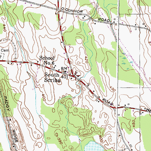 Topographic Map of South Scriba, NY