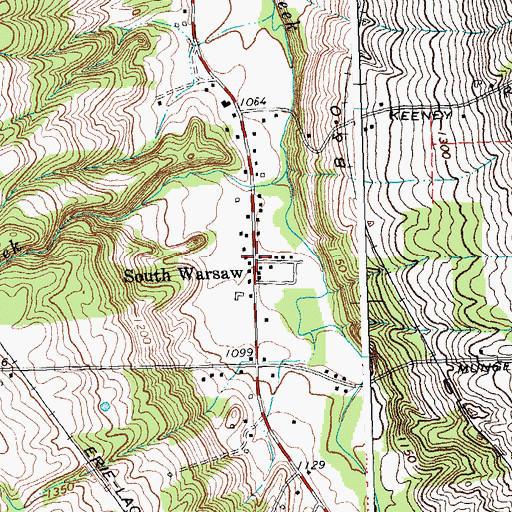 Topographic Map of South Warsaw, NY