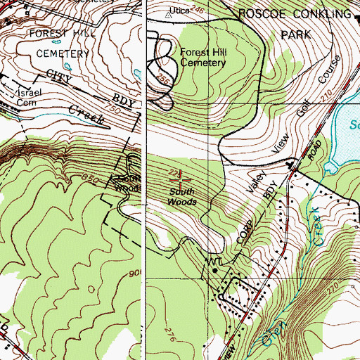 Topographic Map of South Woods, NY