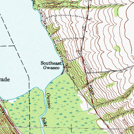 Topographic Map of Southeast Owasco, NY