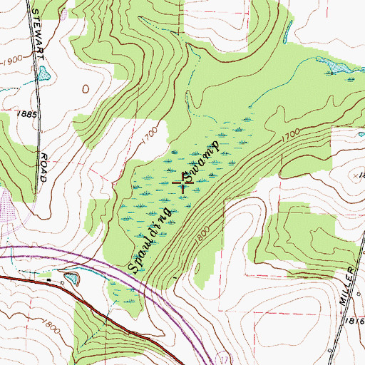 Topographic Map of Spaulding Swamp, NY