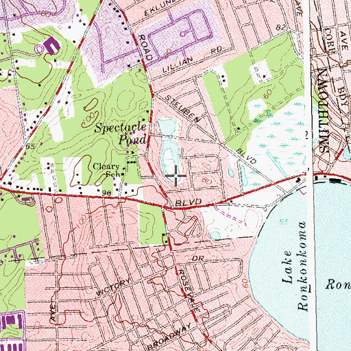 Topographic Map of Spectacle Pond, NY