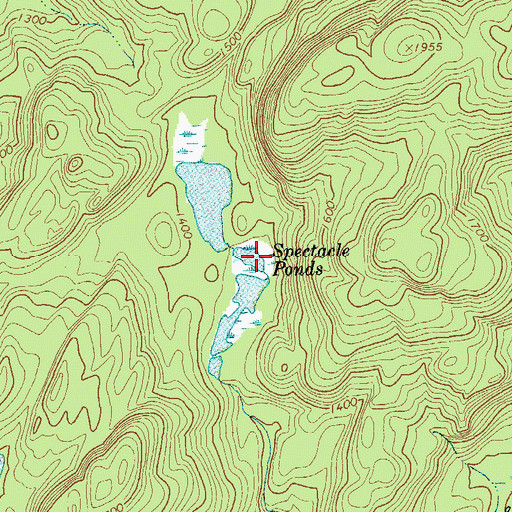 Topographic Map of Spectacle Pond, NY