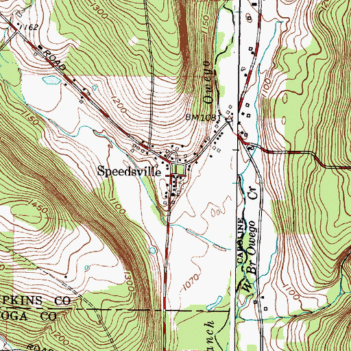 Topographic Map of Speedsville, NY