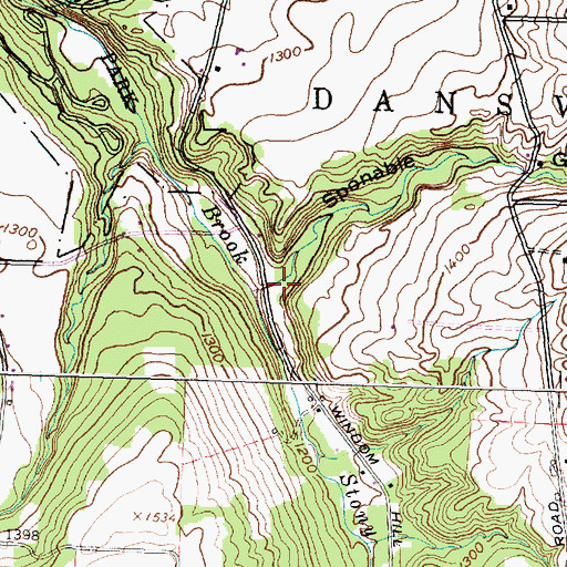 Topographic Map of Sponable Gully, NY