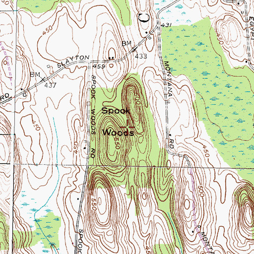 Topographic Map of Spook Woods, NY