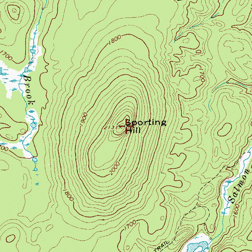 Topographic Map of Sporting Hill, NY