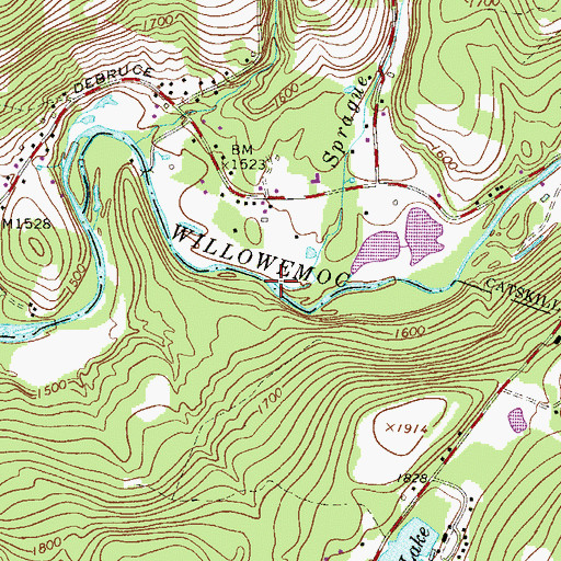 Topographic Map of Sprague Brook, NY