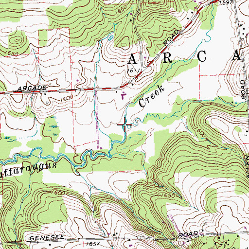 Topographic Map of Spring Brook, NY