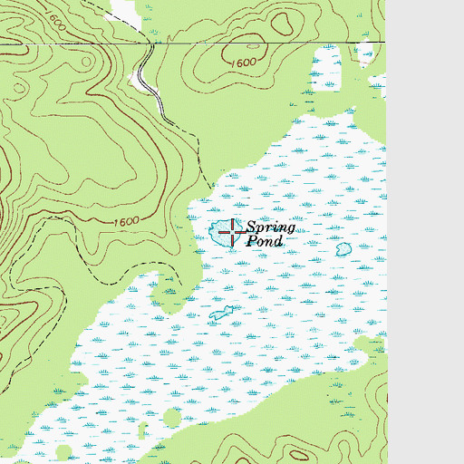 Topographic Map of Spring Pond, NY