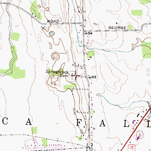 Topographic Map of Spring Brook Cemetery, NY