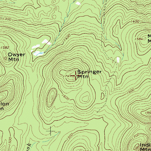 Topographic Map of Springer Mountain, NY