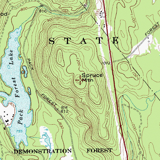 Topographic Map of Spruce Mountain, NY